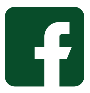 icono facebook